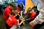 Учреждения допобразования города Мурманска представили лучшие практики работы