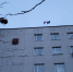 Неправильно поставленный диагноз ребёнку в больнице Мончегорска потребовал вмешательства прокуроров - ИА B-Port.Com