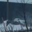 Разбушевавшуюся стихию в Териберке показали на [видео] - SeverPost.ru