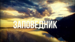 Заповедник: «СевМорСубботник». Пластик под микроскопом