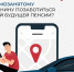 Более 2,4 тысячи самозанятых северян направляют страховые взносы в Отделение СФР по Мурманской области для формирования будущей пенсии - Арктик-ТВ