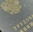 Орфографическая ошибка привела северянина в суд - Телекомпания ТВ-21
