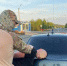 Двое жителей Ковдора попались с запрещенкой - Мурманский вестник
