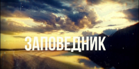 Заповедник: «Краски весны» в ботаническом саду - Телекомпания ТВ-21