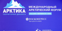 Крупные отечественные компании реализуют в Арктике инвестпроекты на 35 триллионов рублей - ИА B-Port.Com