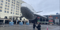 Мурманского кита реанимировали - SeverPost.ru