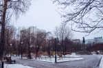 По области пройдёт мокрый снег, воздух прогреется до +5 градусов