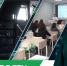 Дневные новости от 8 апреля - Телекомпания ТВ-21