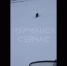 Прокуратура заинтересовалась видео с издевательством над росомахой в Мурманской области - ИА B-Port.Com