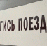 РЖД отказались от перевозки пса, раненного дроном ВСУ - ИА Nord-News.Ru