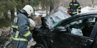 В Кандалакшском районе лишь деревья остановили улетевший в кювет автомобиль - Мурманский вестник