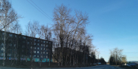 Неадекватный агрессор пытался проникнуть в детский дом в Мурманской области - Телекомпания ТВ-21