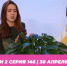 О МОЙ БЛОГ I 2 СЕЗОН 145 СЕРИЯ I 30 АПРЕЛЯ - Телекомпания ТВ-21