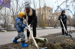 В Мурманске прошел общегородской субботник