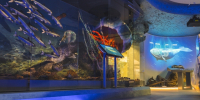 С 2019 года на модернизацию учреждений культуры Мурманской области направлено более 6,5 млрд рублей, а посещаемость культурных мероприятий выросла вдвое - Арктик-ТВ