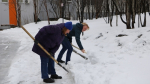 Всероссийский субботник