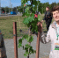 Мурманчанки примут участие в форуме городов-героев - SeverPost.ru