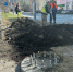 К гостинице «Арктика» съезжать можно будет по газону - SeverPost.ru