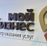 В Мурманской области действует 51 мера поддержки малого бизнеса - Мурманский вестник