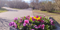 В Мурманской области до +20° - SeverPost.ru