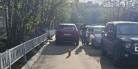 1.jpg - УМВД Мурманской области