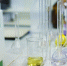 Ученые МАУ запатентовали технологию получения горохового протеина - ИА Nord-News.Ru