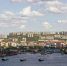 Волшебство заполярного лета: фоторепортаж - Телекомпания ТВ-21