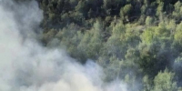 В Кольском районе четыре с половиной часа тушили полыхающую растительность - Мурманский вестник