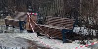 Ольге Вовк пришлось поправить Лебедева. Но это не помогло - SeverPost.ru