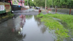 В Мурманской области дождь и прохладно