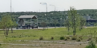 Ивы на Поморской набережной в Коле заменили липами и каштанами - SeverPost.ru