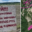 Авиалесоохрана просит не гулять на бывшем аэродроме в Мурмашах - ИА Nord-News.Ru