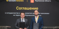 «ВымпелКом» планирует развитие собственной телекоммуникационной инфраструктуры на территории Заполярья - Корпорация развития Мурманской области