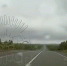 Под Оленегорском лось перебежал дорогу [видео] - SeverPost.ru