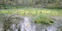 В Мурманской области до +13° - SeverPost.ru