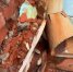 Депутат: Мурманская «управляшка» не обслуживает, а собирает оплату - SeverPost.ru