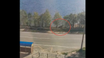 По набережной в Мончегорске пробежал лось [видео]