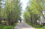В Мурманской области вырос спрос на сотрудников