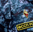 Мурманской компании пришлось оплатить 12-миллионные долги - SeverPost.ru
