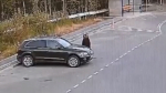 В психбольницу Апатитов пришёл медведь [видео]