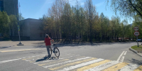 В Апатитах велосипедист стал «безлошадным» после грабежа — временно - ИА Nord-News.Ru