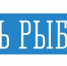 Поздравление заместителя Губернатора - министра региональной безопасности Мурманской области с Днем рыбака - Министерство региональной безопасности