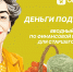 Пенсионерам Мурманской области предлагают пройти онлайн-обучение по финансовой грамотности - Минфин Мурманской области