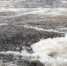 Вода в Коле впервые в этом году прогрелась до +19° - SeverPost.ru