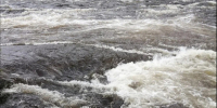 Вода в Коле впервые в этом году прогрелась до +19° - SeverPost.ru