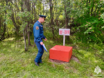 Берегите природу, сохраните леса
