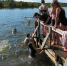 Купание у домика моржей в Мурманске - ИА Nord-News.Ru