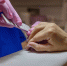 За год услуги маникюра и педикюра подорожали на 10-12% - ИА B-Port.Com