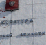 В Мурманске прокуратура защитила права матери погибшего бойца СВО - SeverPost.ru