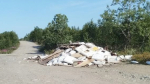 На Серебрянке снова создают помойку